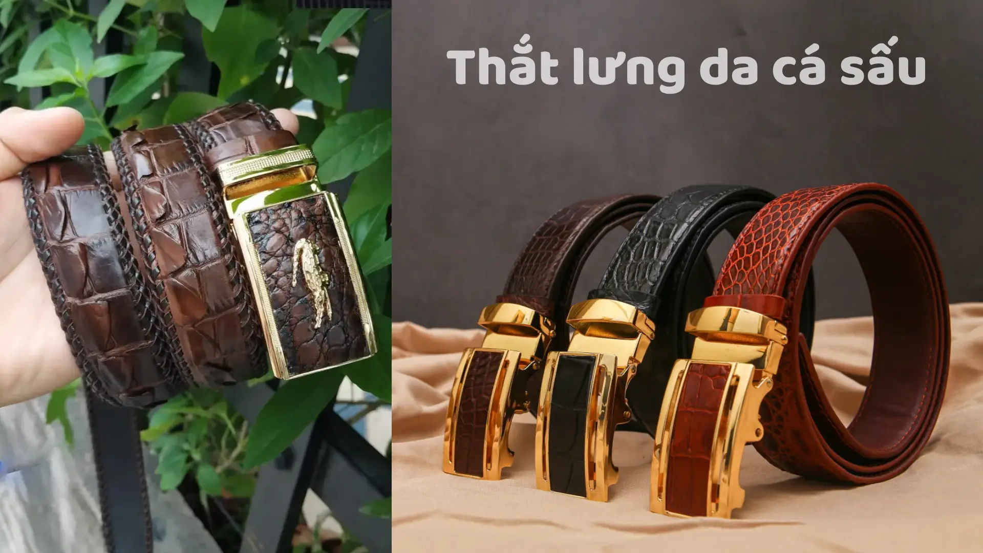 Top 7 Loại Thắt Lưng Da Cá Sấu Sang Trọng cho phái mạnh
